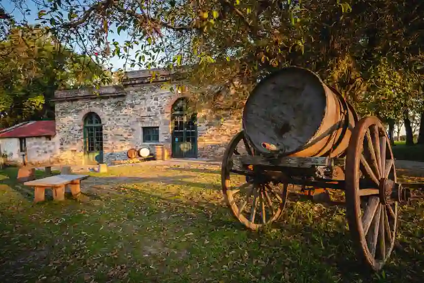 Experiencia Los Cerros de San Juan