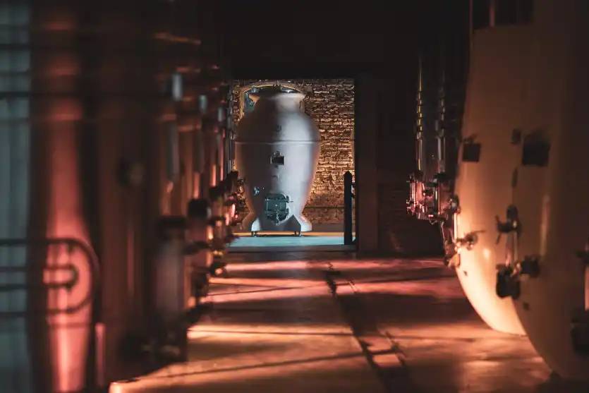 Visita los Cerros de San Juan desde el hotel boutique Casa Lahusen