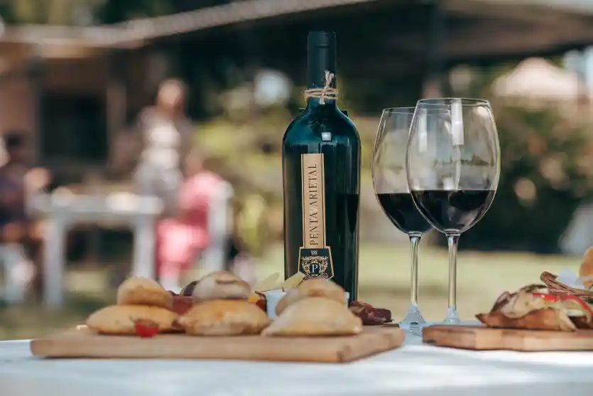 Disfrutá de la experiencia Wine experiences hotel Finca del Sacramento