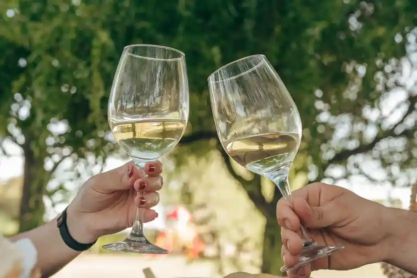 Vivi la experiencia Wine Tasting de Finca del Sacramento