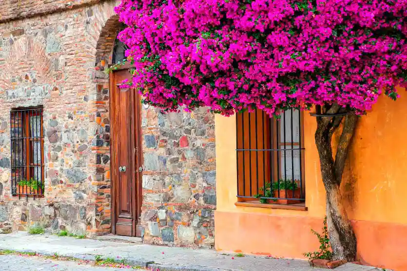 Experiencia Colonia del Sacramento