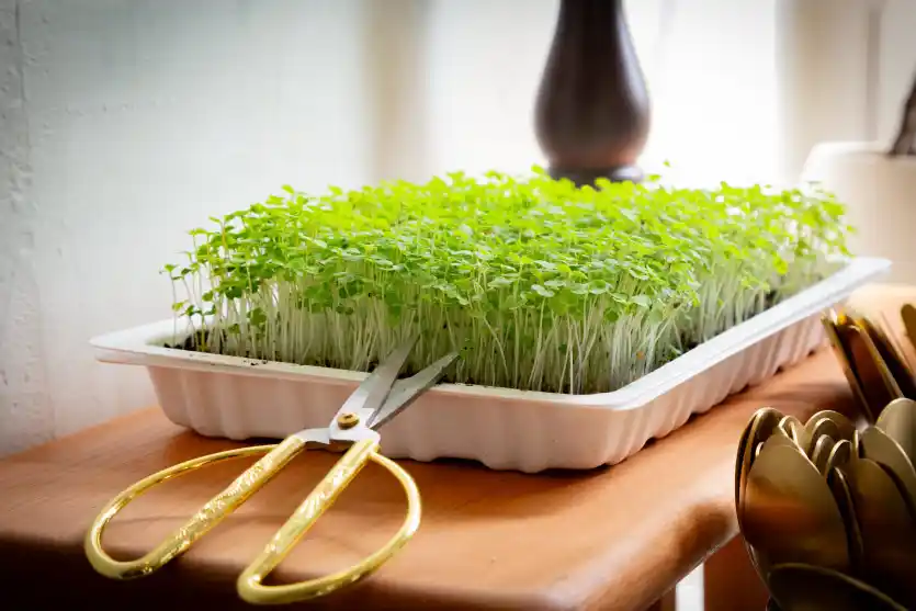 Sostenibilidad - Hotel Boutique Casa Lahusen