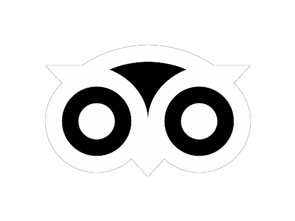 Logo de tripAdvisor
