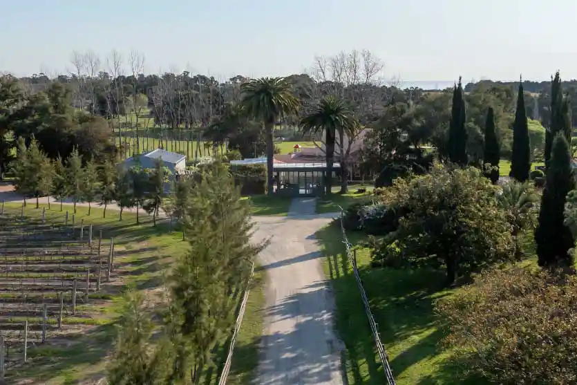 Vivi la experiencia de Finca del Sacramento desde Casa Lahusen